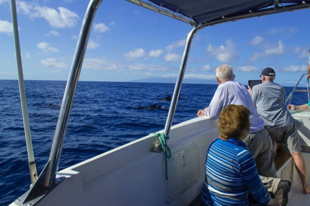 Excursion marina en barco